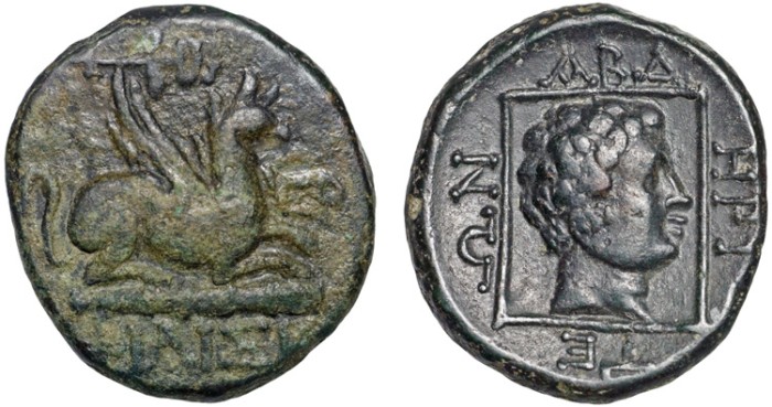 Thrace Abdera Gryphon.jpg
