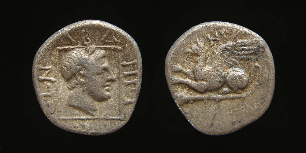Thrace, Abdera Head of Apollo Griffin.JPG