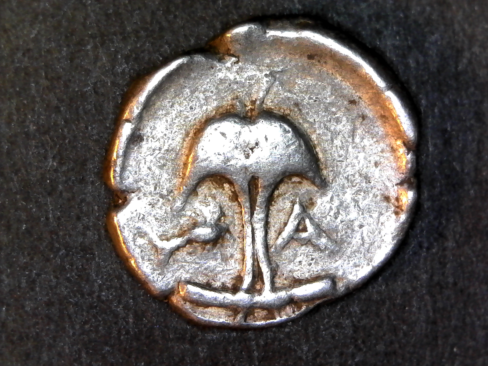 Thrace Apollonia Pontika Reverse.jpg
