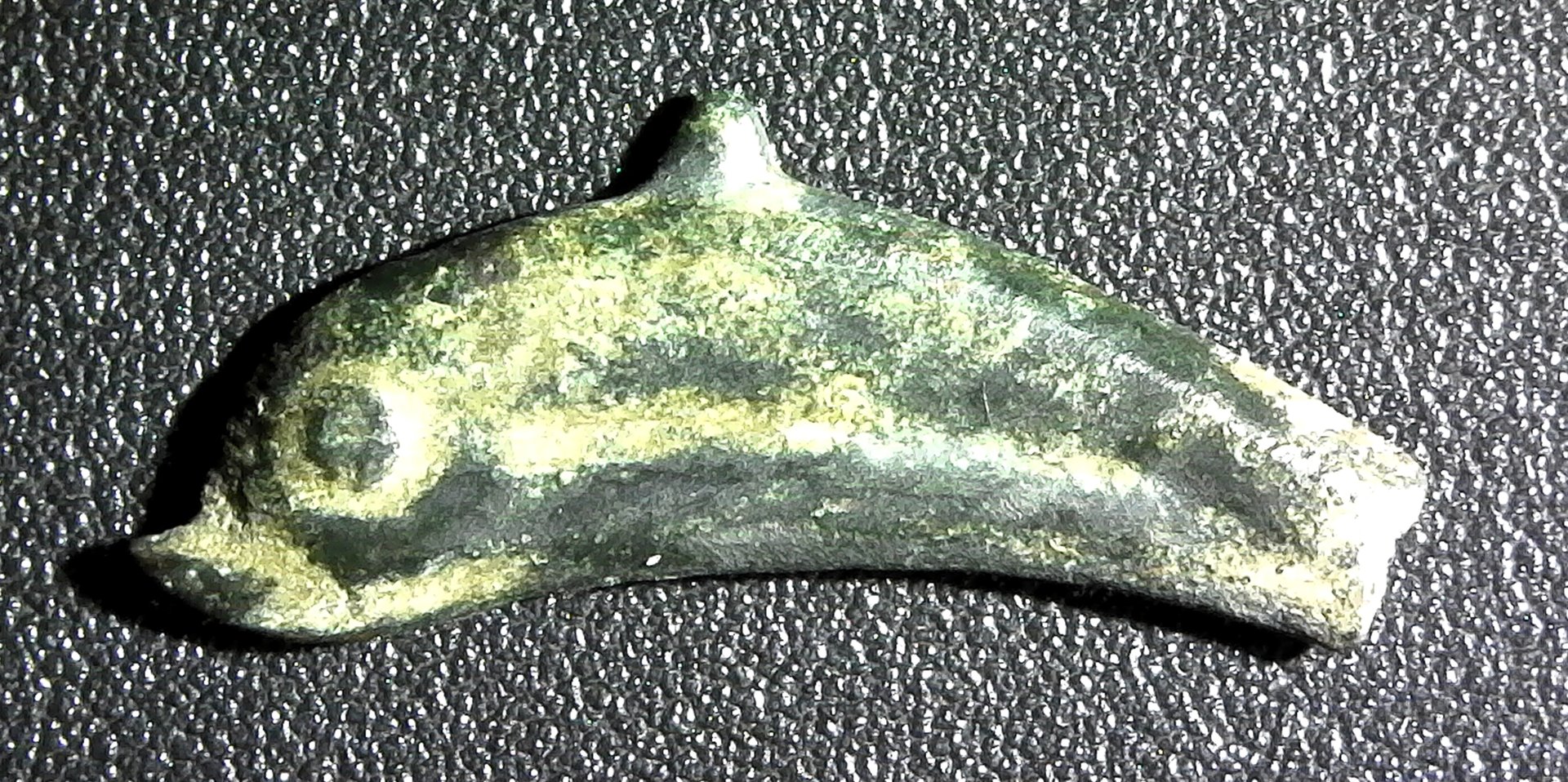 THRACE, OLBIA, dolphin, no date (circa 200 BC) obv.jpg