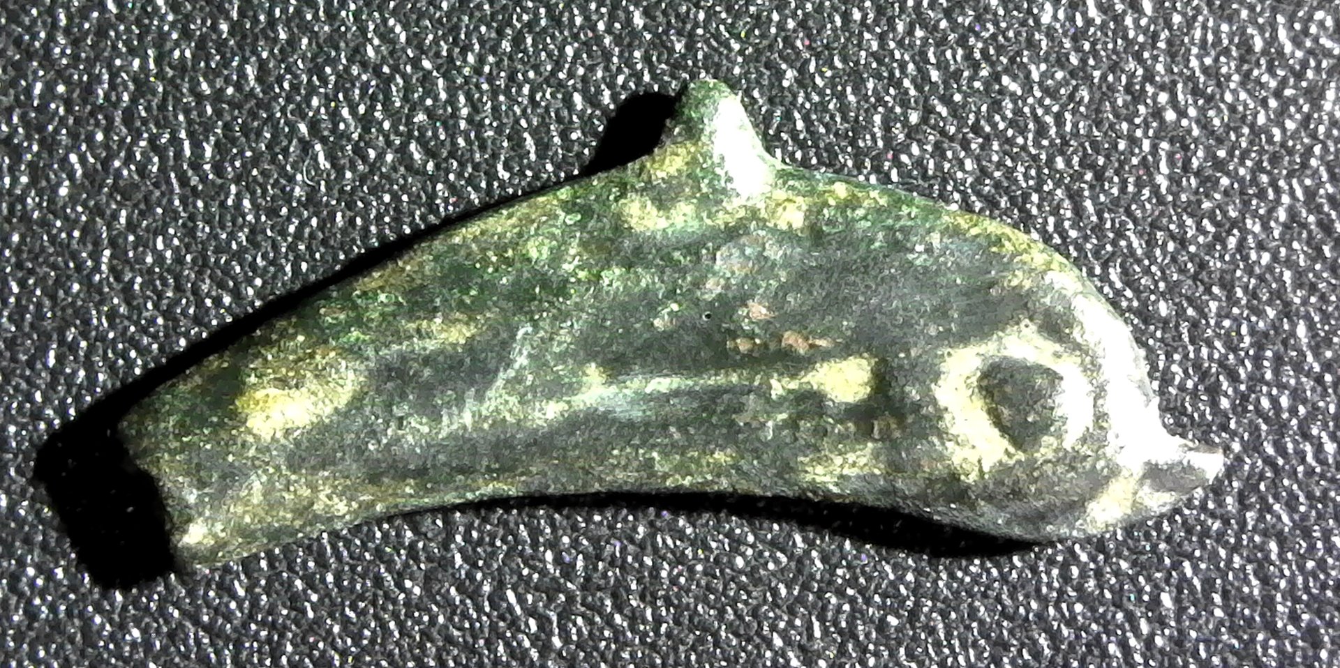 THRACE, OLBIA, dolphin, no date (circa 200 BC) rev.jpg