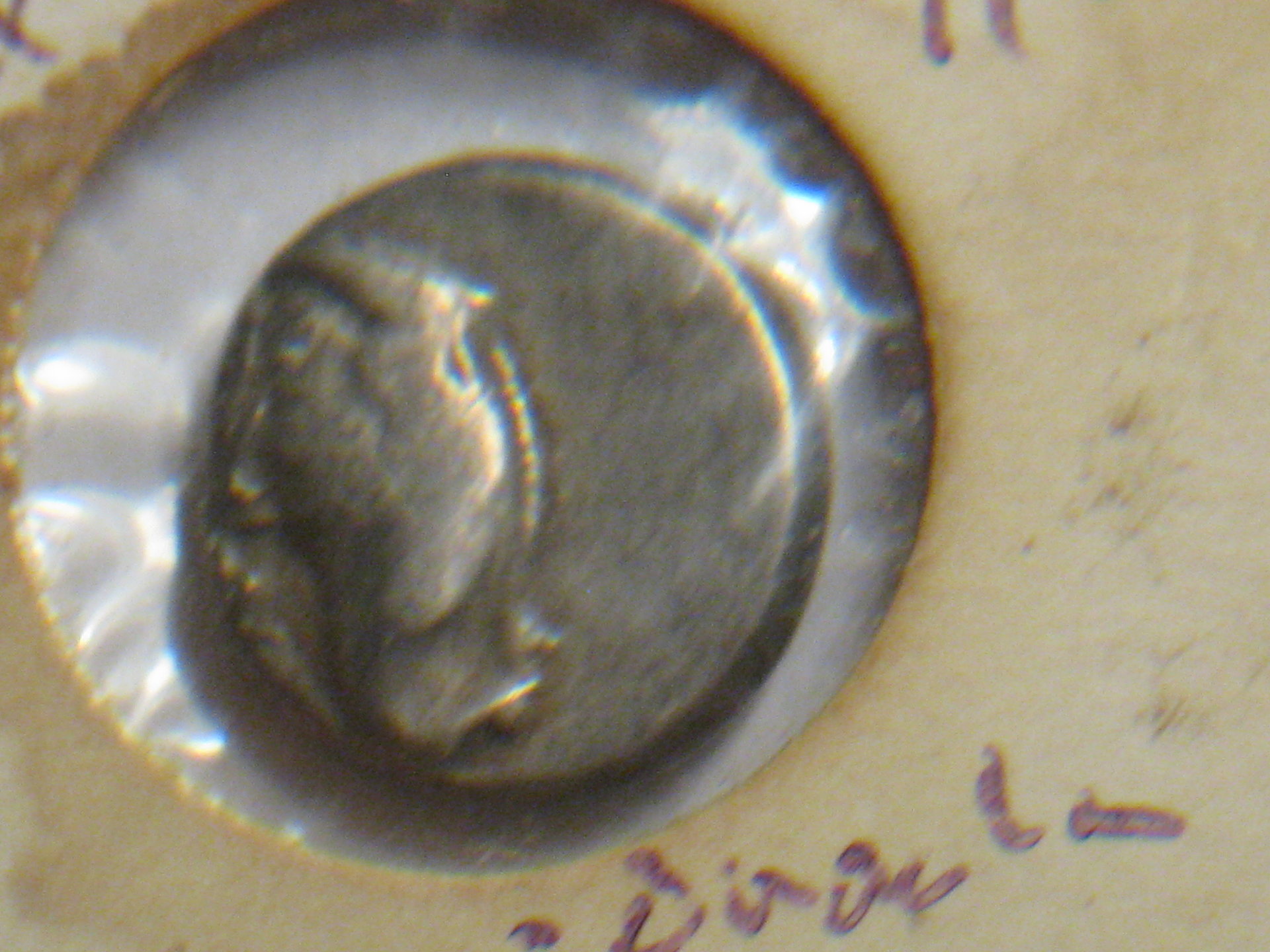 thracian chersonesus hemidrachm 002.JPG