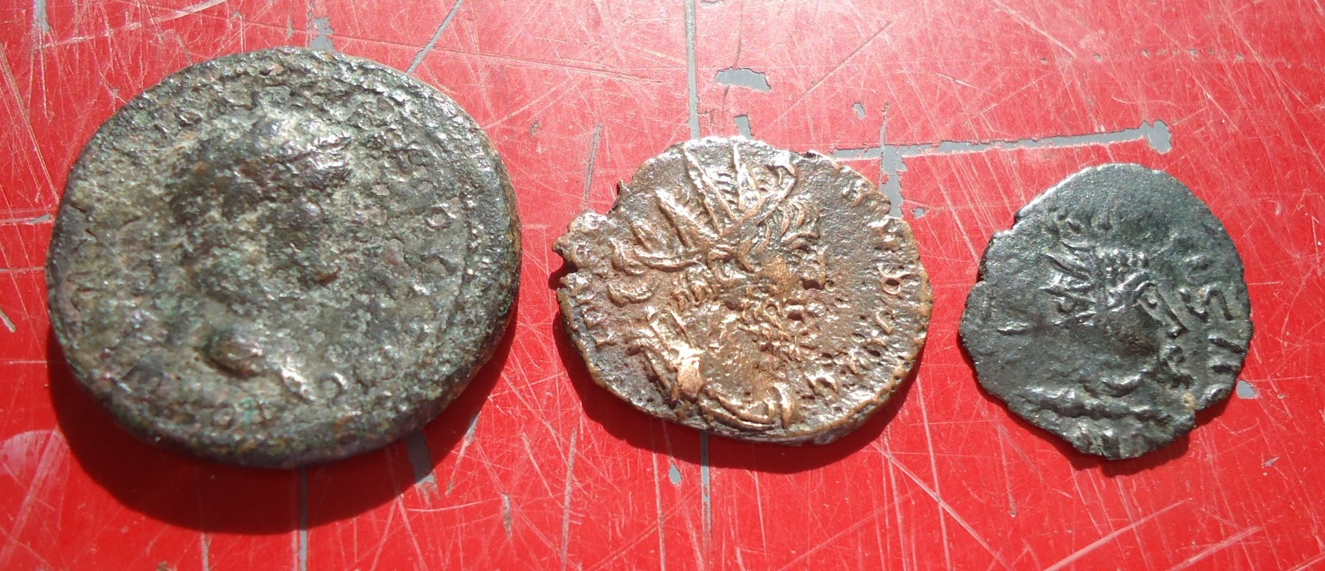 Three Uglies Barbarous Radiate (4).JPG