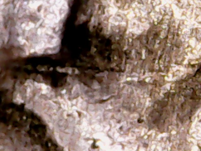 Thu Mar 09 19-31-02.jpg