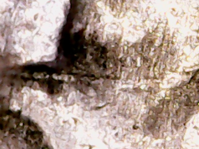Thu Mar 09 19-31-30.jpg
