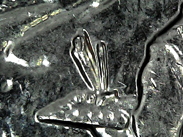 Thu Sep 03 16-53-54.jpg