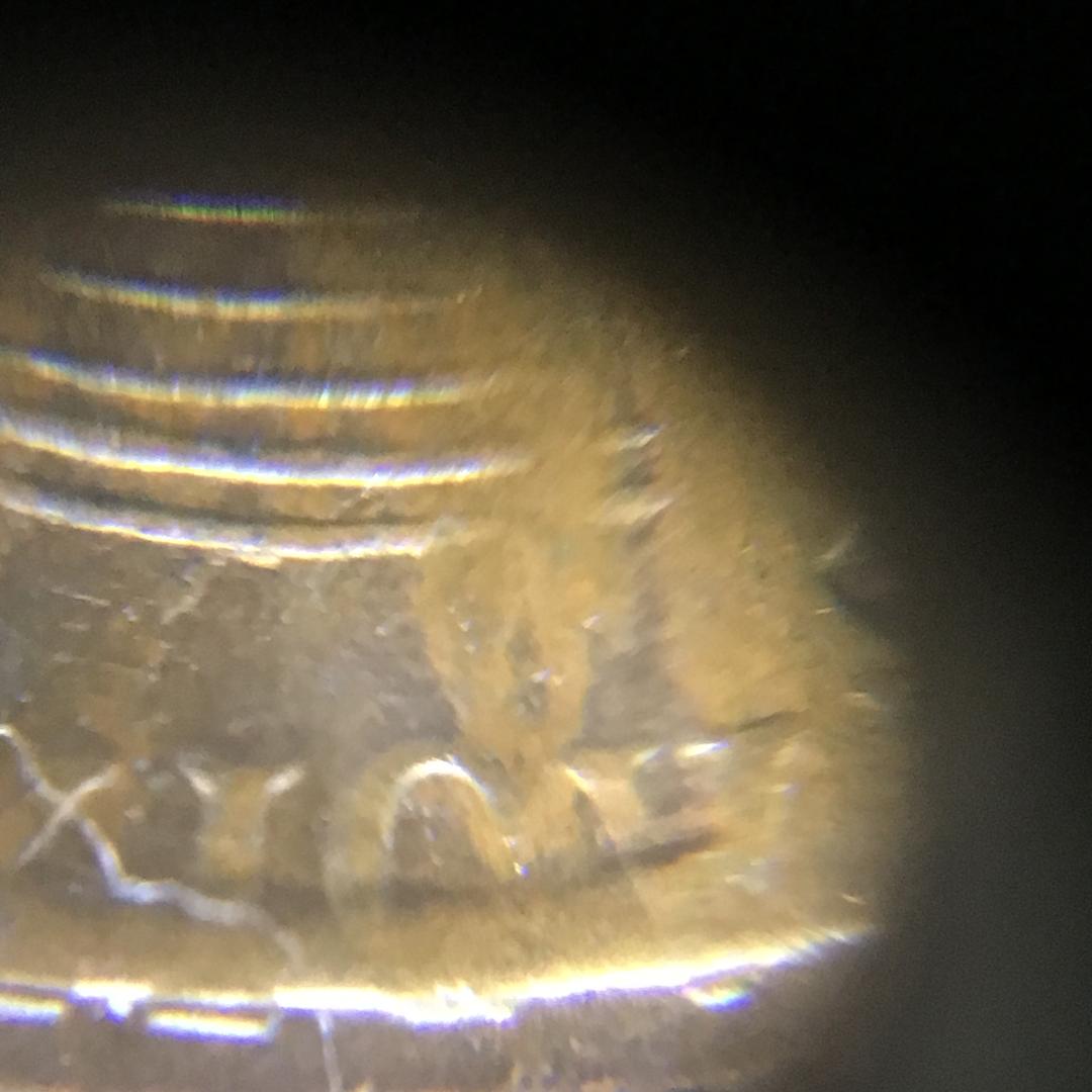 thumbnailredo1.jpg