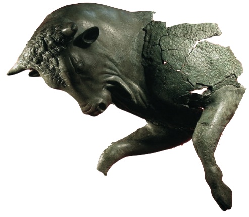 Thurium bull.jpg