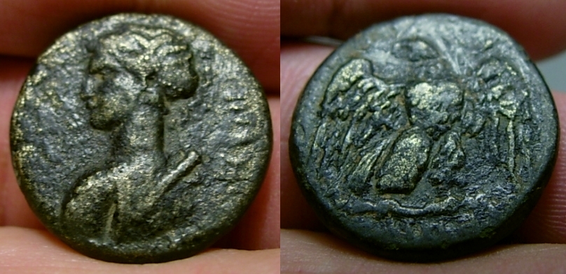 Thyateirartemis.jpg