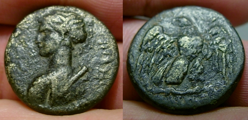Thyateirartemis.jpg