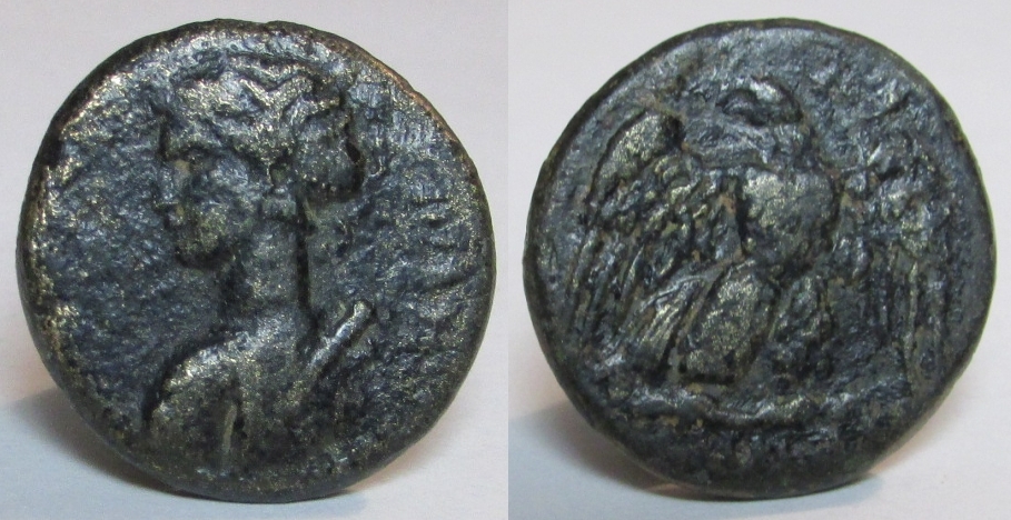Thyateirartemis2.jpg