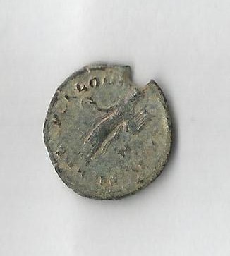ThycApo R.jpg