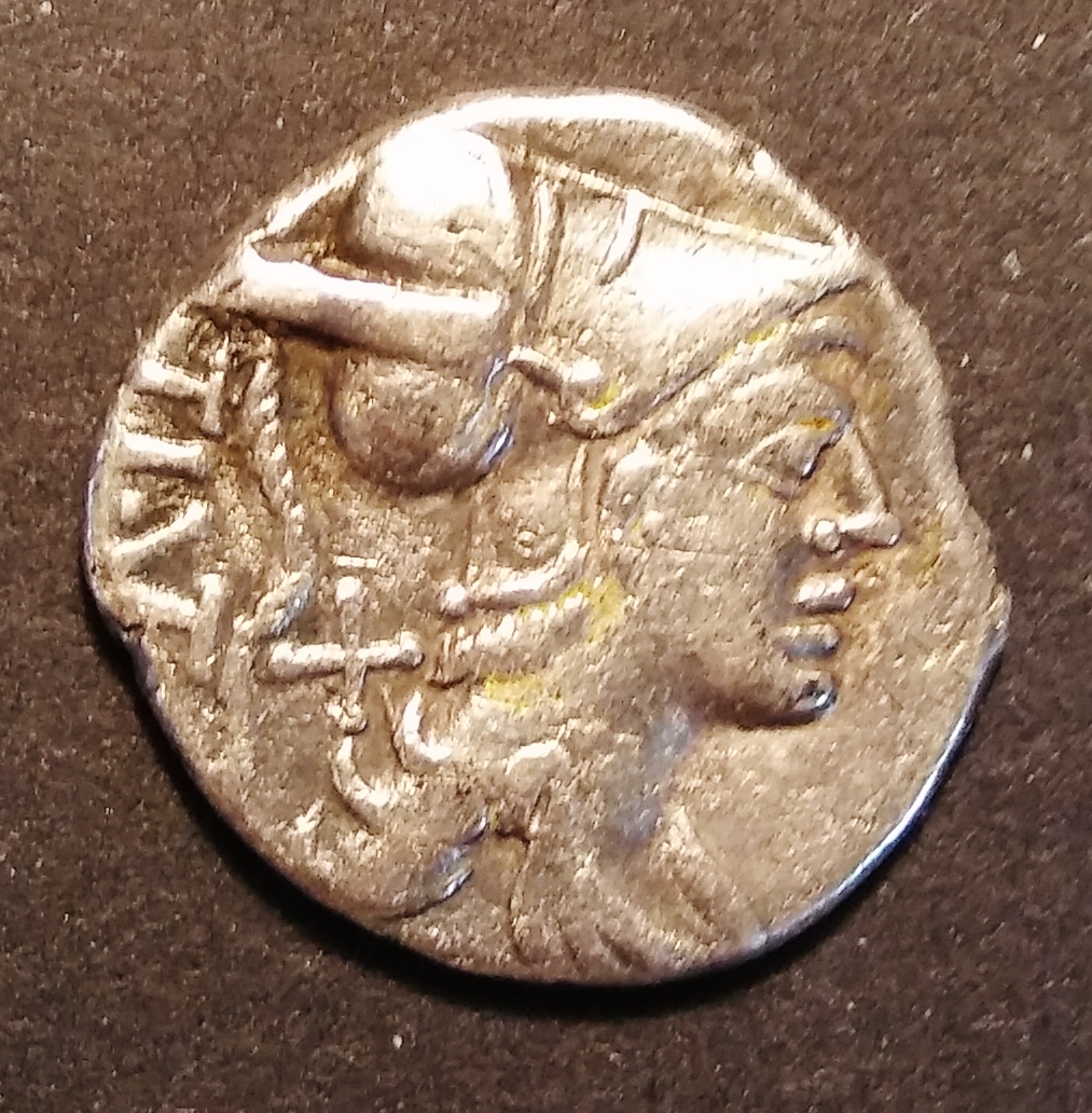 Ti. Veturius - pig Obv. 1.jpg