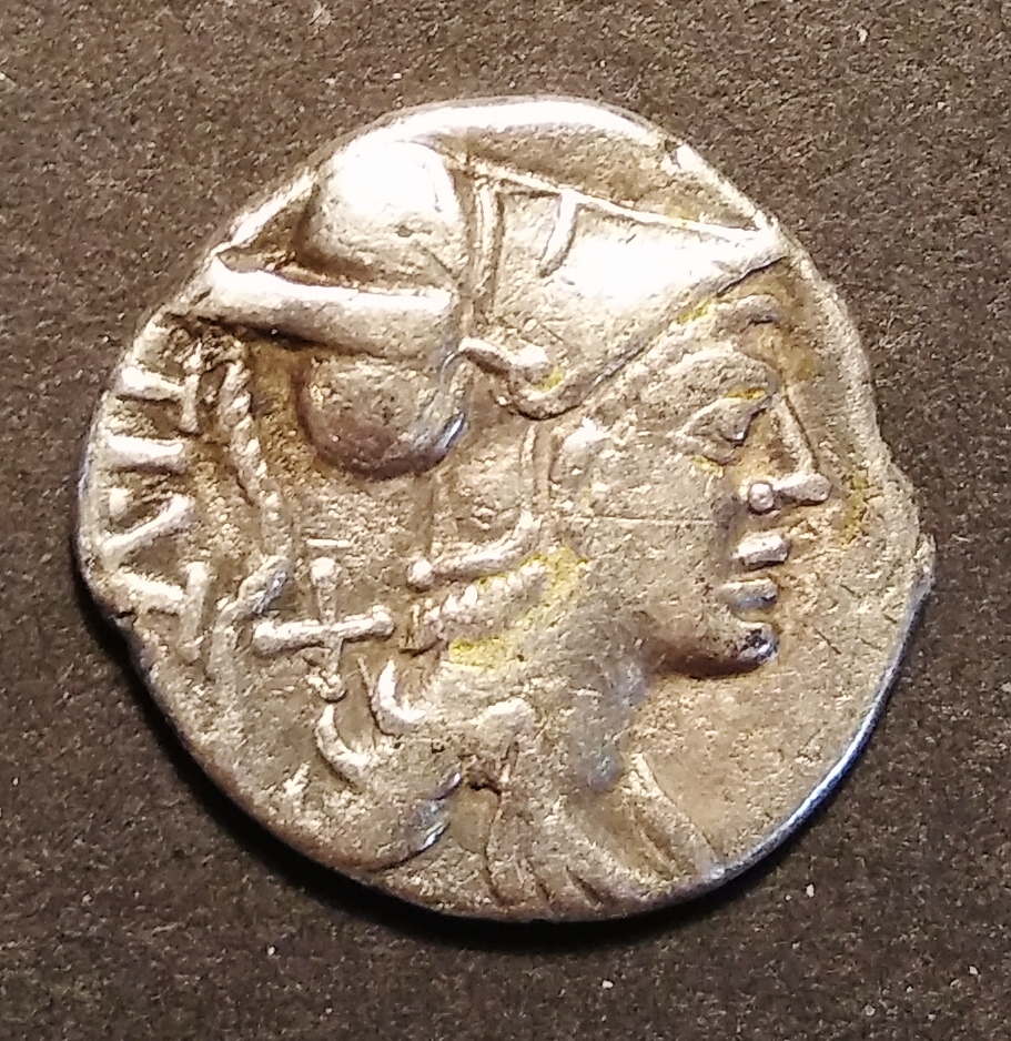 Ti. Veturius - pig Obv. 3.jpg