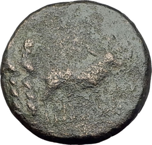 TIBERIUS 14AD Colonists Founding PARIUM with OXEN Ancient Roman Coin i64658s-l44500.jpg