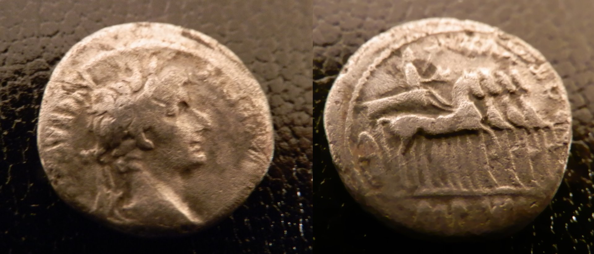 tiberius combined.jpg