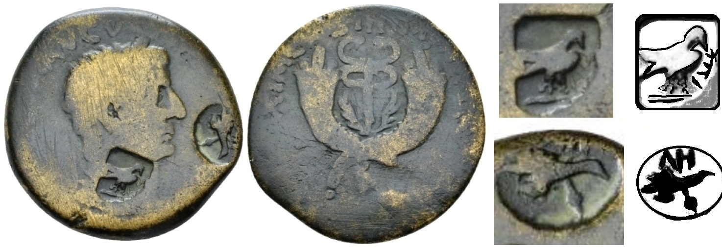 Tiberius Commagene Dupondius Legionary Countermarks Trajan Clain-Stefanelli.jpg