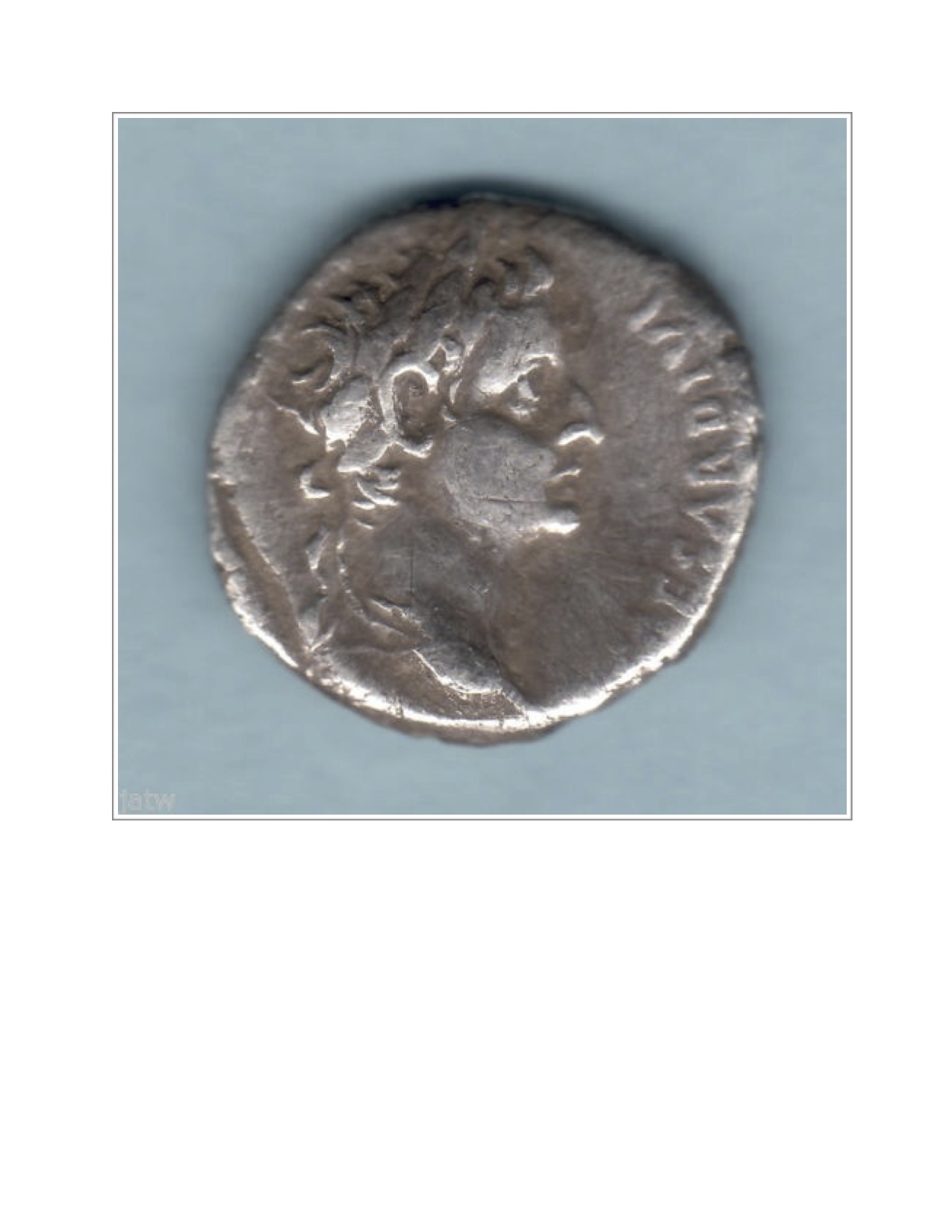 Tiberius Denarius  Obverse JPEG.jpg
