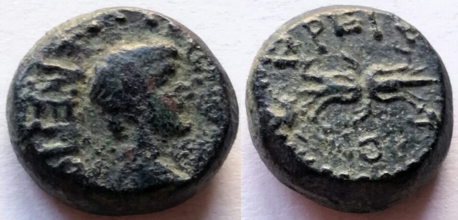 Tiberius gemellus AE philadelphia lydia.jpg