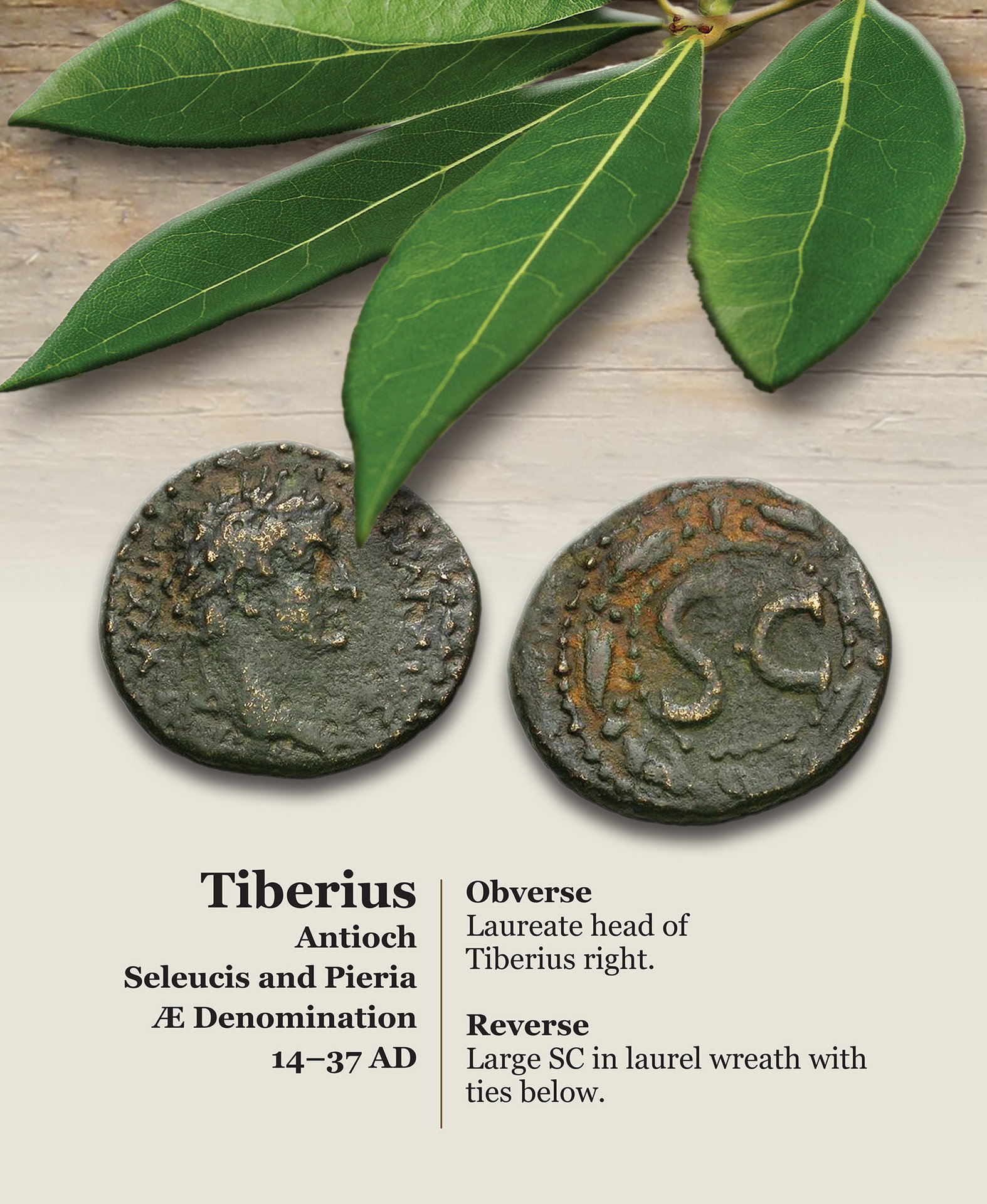TIBERIUS.jpg