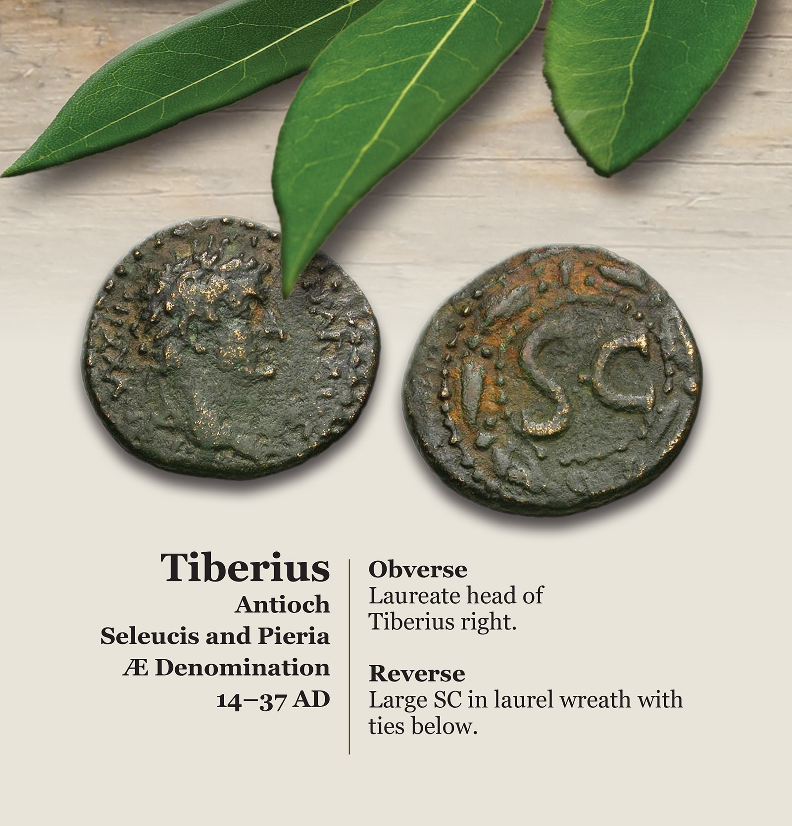 TIBERIUS.jpg