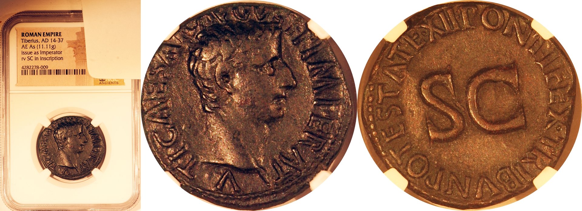tiberius1-horz.jpg