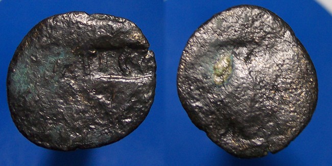 tica4230.JPG
