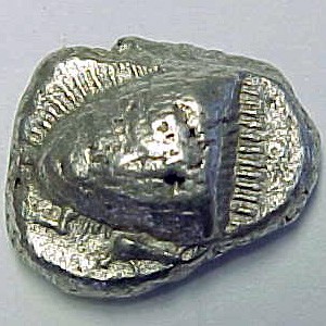 TIF 11.jpg