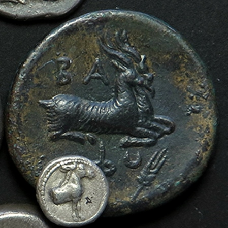 TIF-Greeks2017detail.jpg