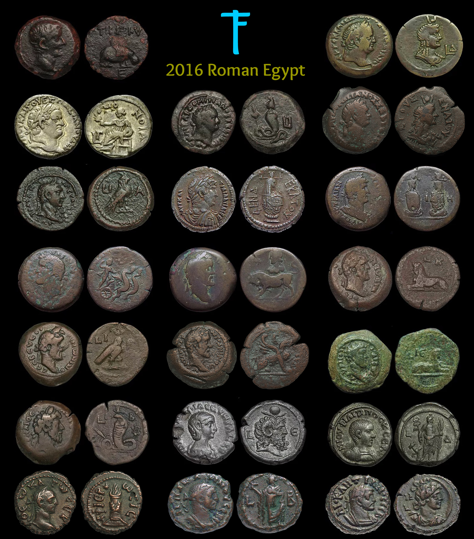 TIF2016-RomanEgypt.jpg