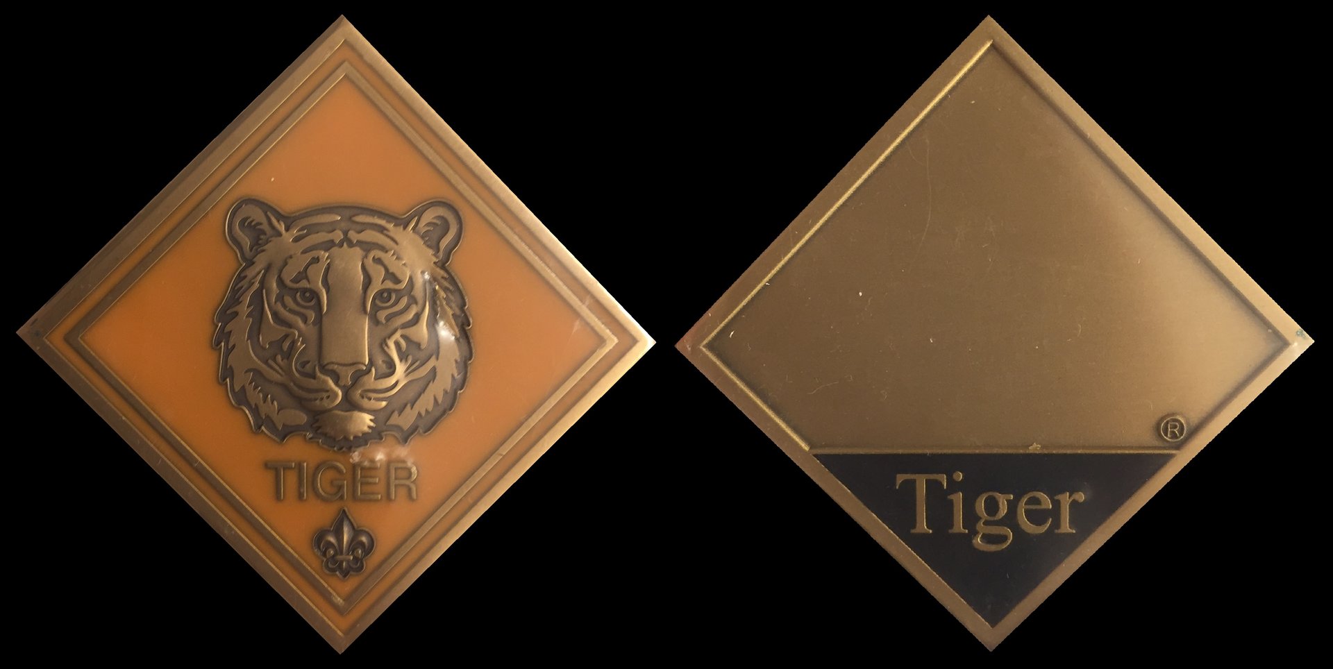 Tiger Challenge Coin.jpg