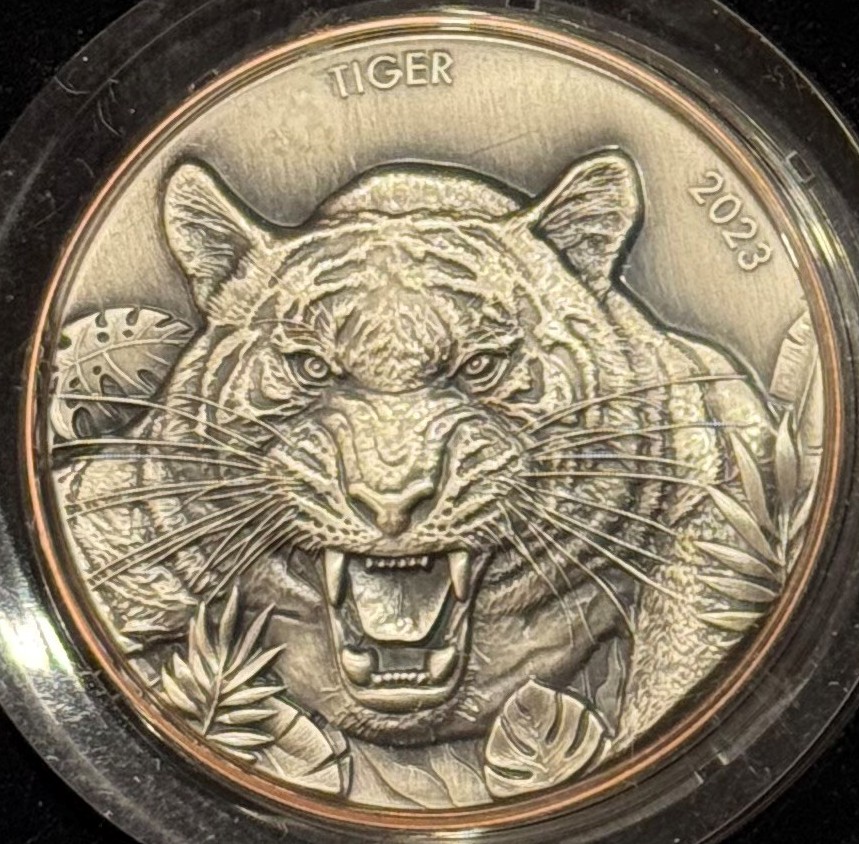 Tiger.jpg