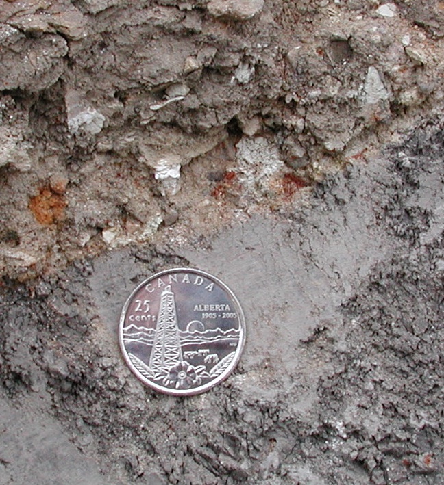 till-shale_contact.jpg