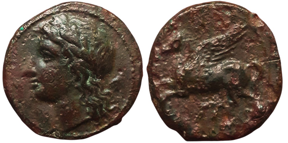Timoleon Pegasos Syracuse AE.jpg