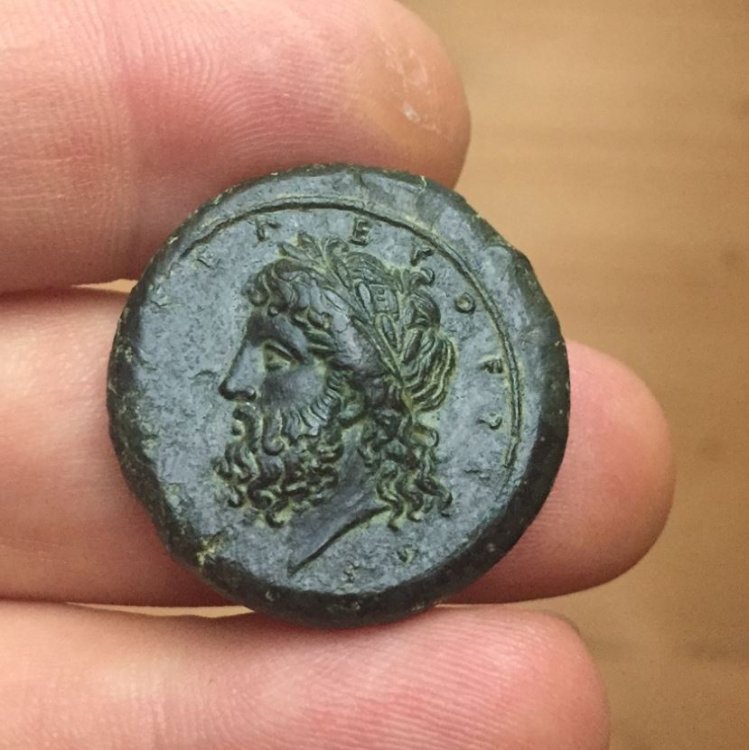 Timoleon plate coin.JPG