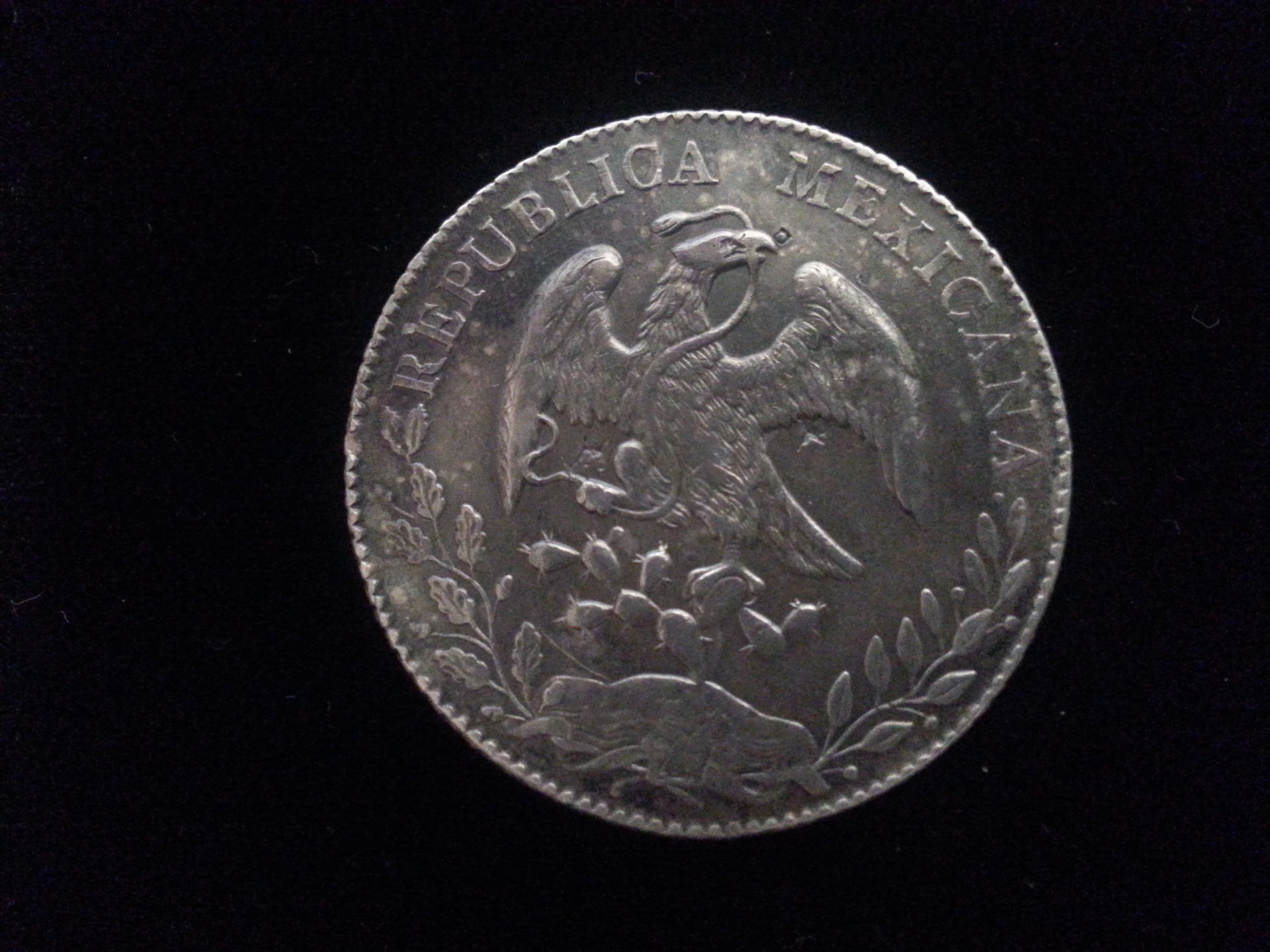 Timor, 1900 rev.jpg