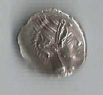 TinOwl O        Attica.jpg