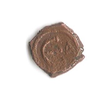Tiny 001.jpg