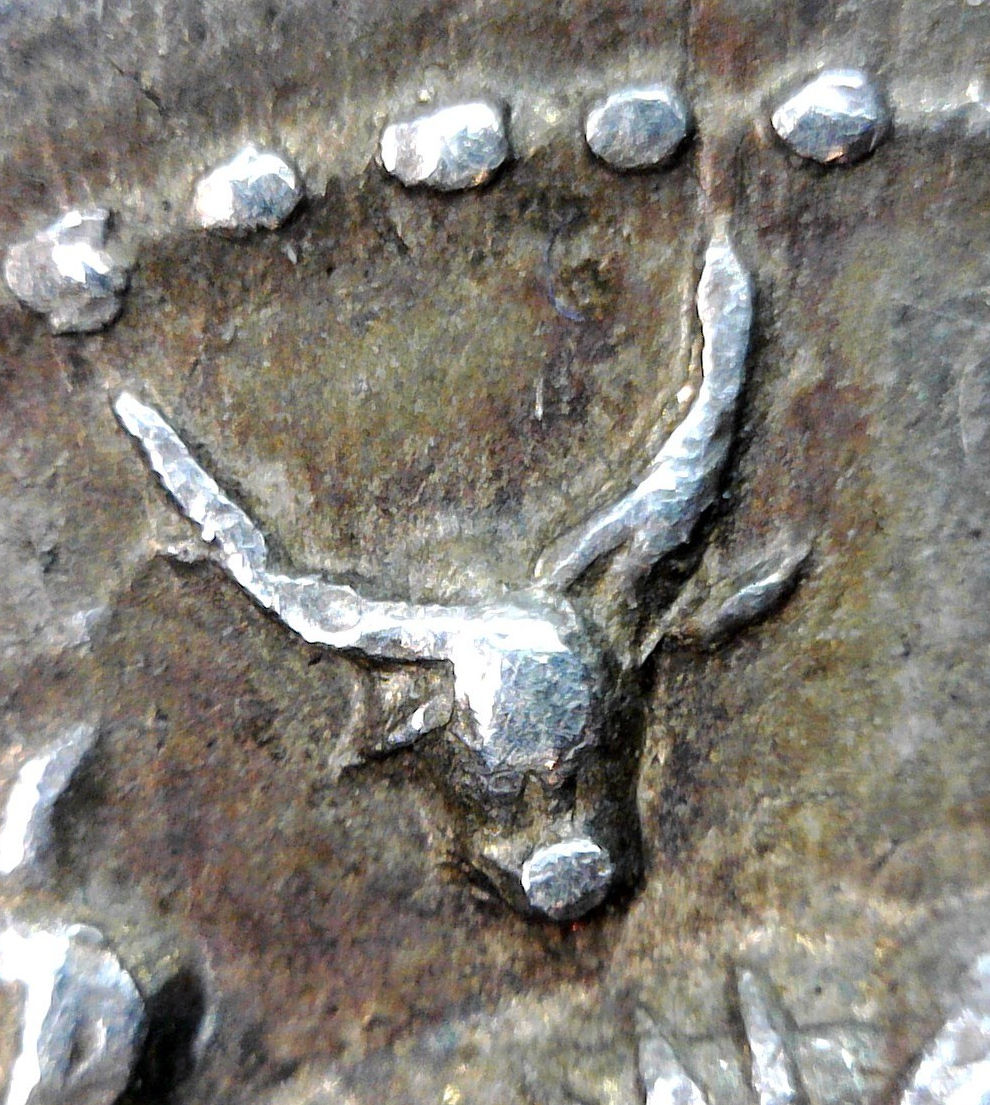 tiny bull.jpg
