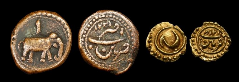 tipu 2.jpg