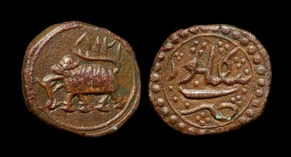 tipu.jpg