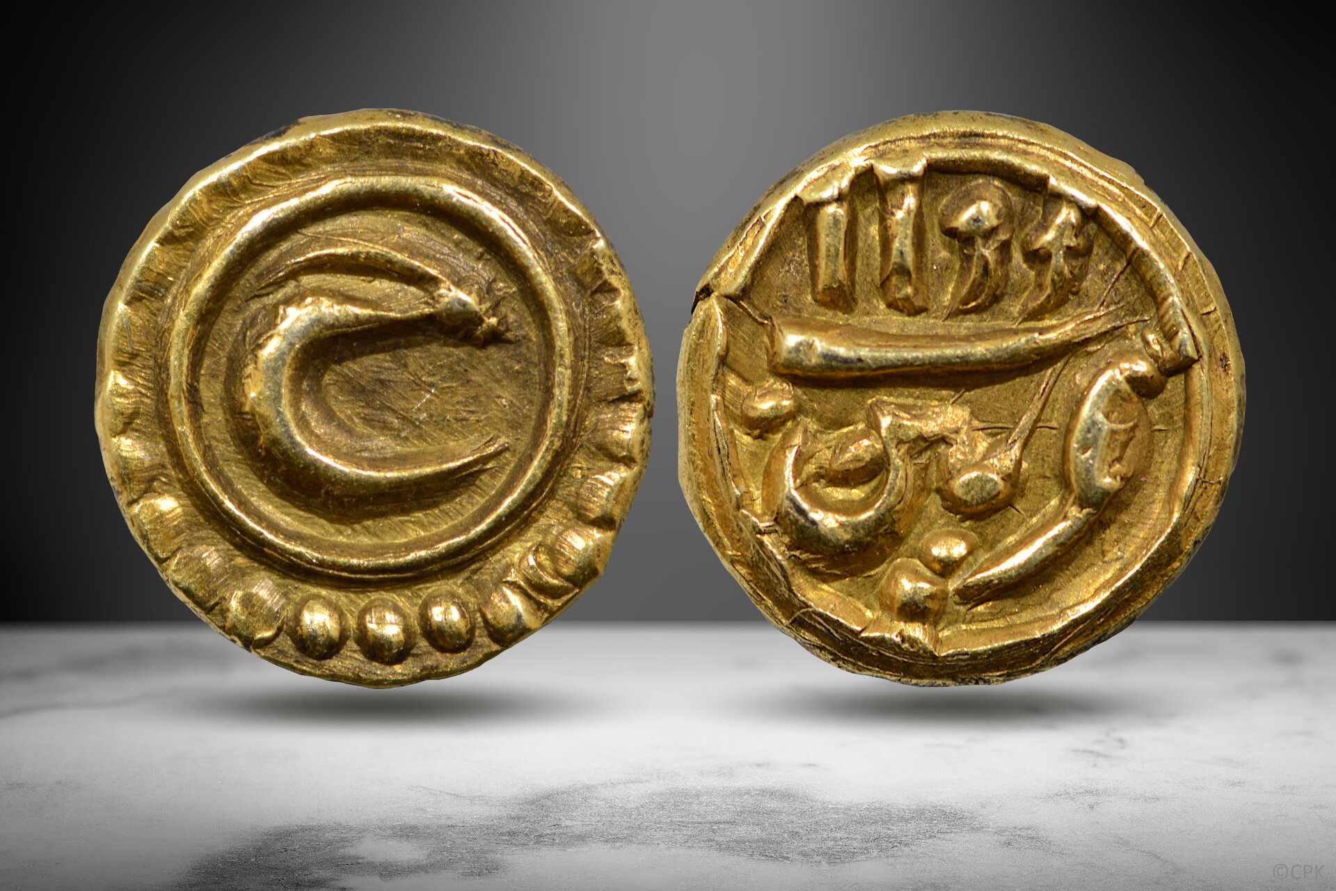 Tipu Sultan AV Fanam.jpg