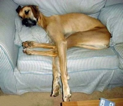 tired too.jpg