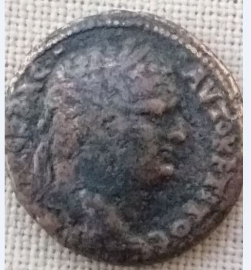 TitAgrip O      Hendin612.JPG