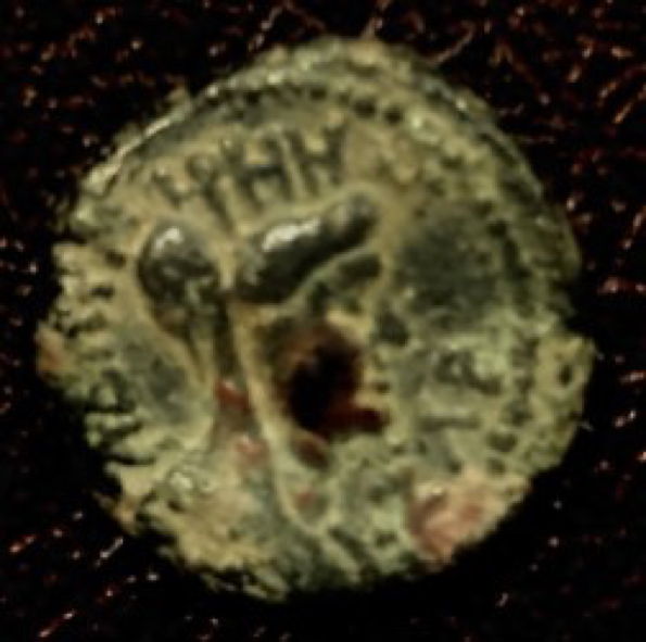 Titua Gadara Reverse.png