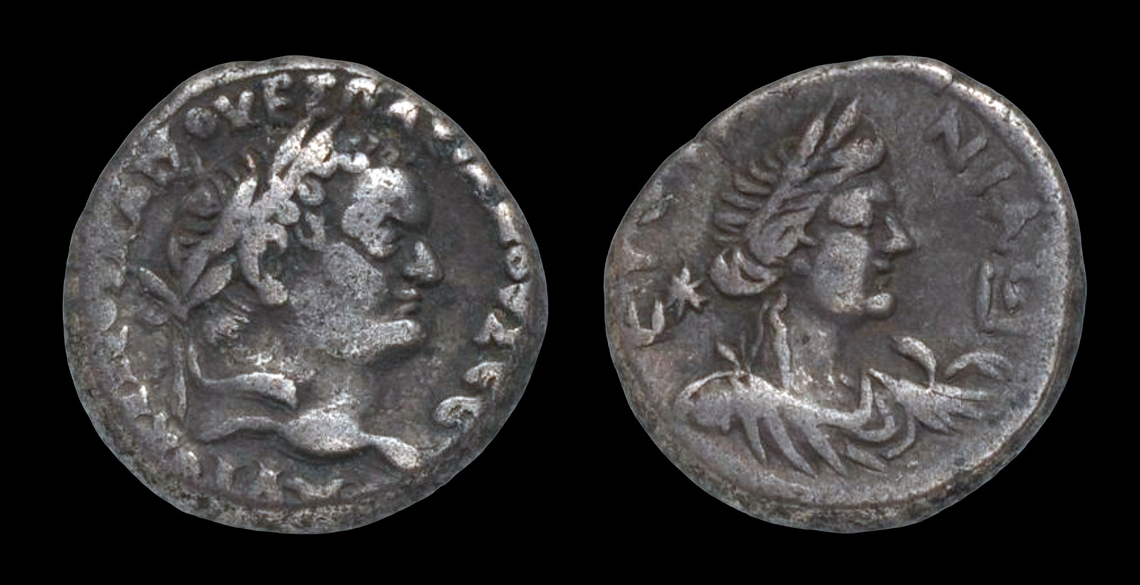 titus~0.jpg
