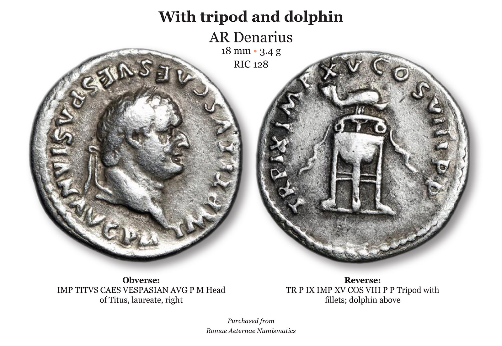 TITUS 3.jpg