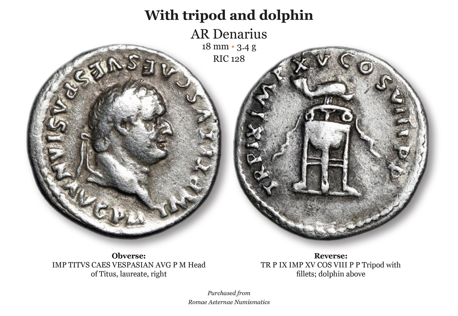 Titus • Dolphins • Battle Reenactments | Coin Talk