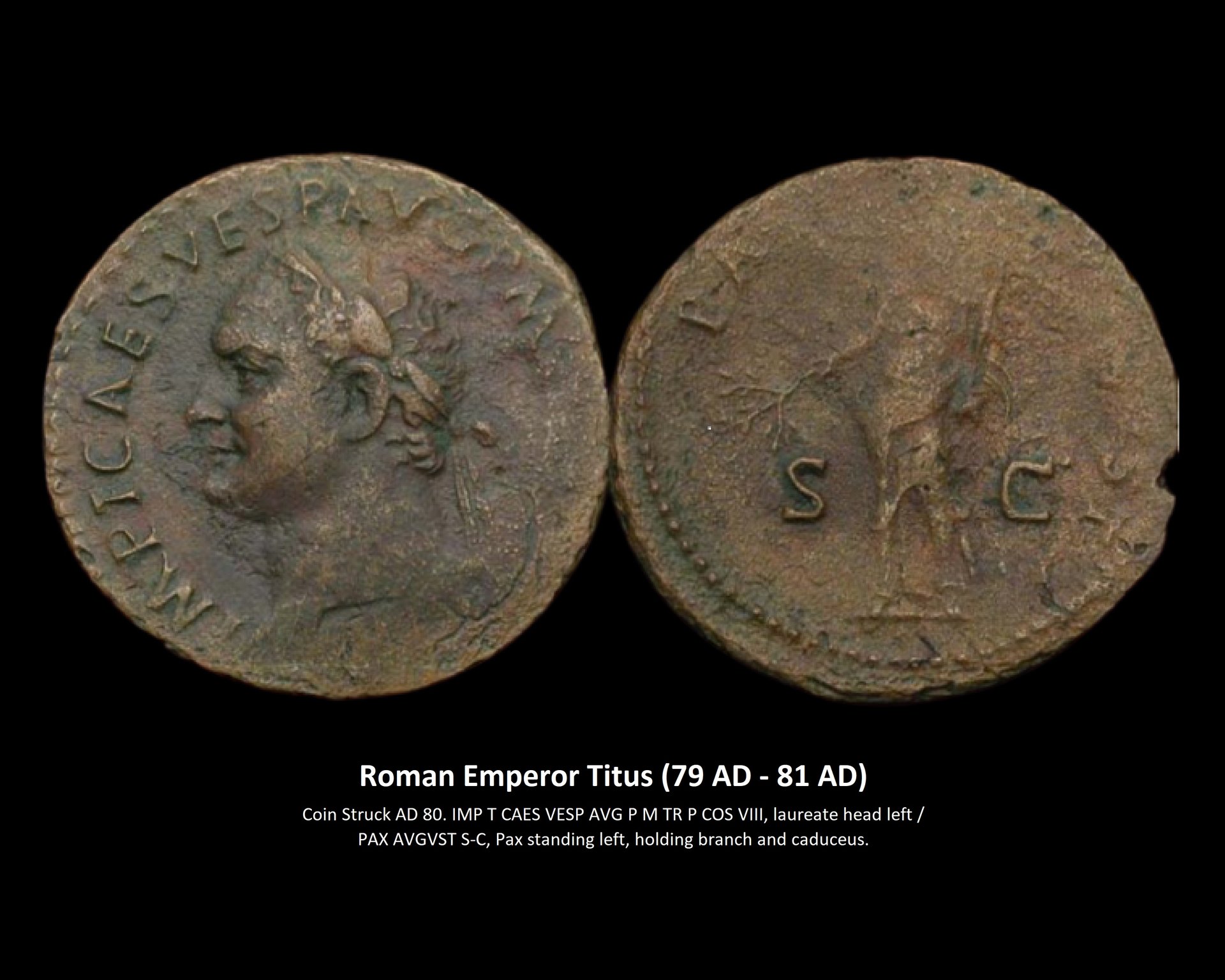 Titus 8_10.jpg