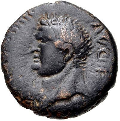 Titus a.jpg